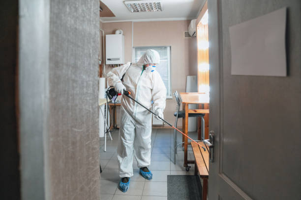Best Environmental Consulting for Mold Prevention  in Indnola, IA