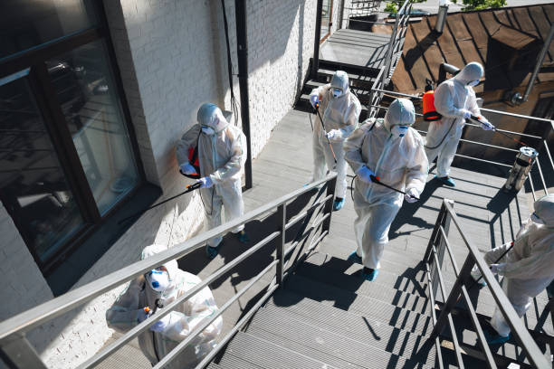 Mold Odor Removal Services in Indianola, IA