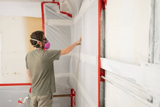 Best Mold Remediation for Healthcare Facilities  in Indnola, IA