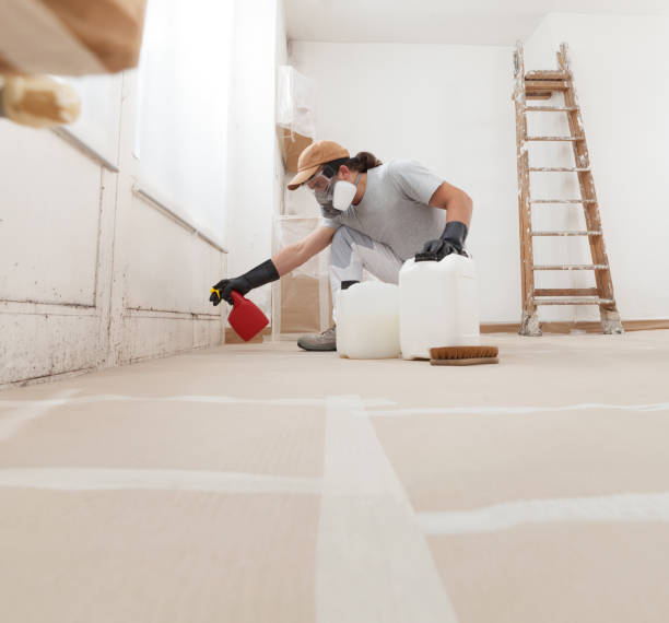 Forensic Mold Investigation in Indianola, IA